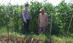 Bhabinkamtibmas Sosialisasi Pemanfaatan Lahan Kosong untuk Pangan