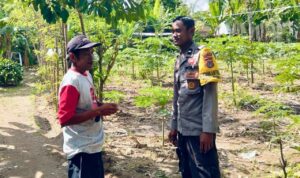 Bhabinkamtibmas Desa Rumak Dorong Warga Kediri Tanam Pangan di Pekarangan