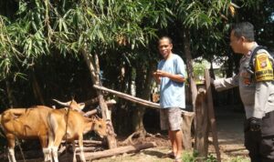 Ketahanan Pangan Berbasis Komunitas di Dusun Melase
