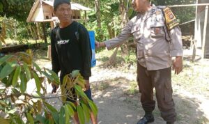 Ketahanan Pangan Desa Merembu Didorong Lewat Jalan Usaha Tani Baru
