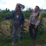 Ketahanan Pangan Dimulai dari Desa, Inisiatif Bhabinkamtibmas di Dusun Beremi Kuripan