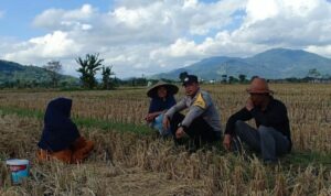 Kolaborasi Polisi dan Warga Babussalam Perkuat Swasembada Pangan