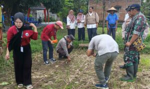 Sinergi Polsek Batulayar dan Warga Sandik Tanam Jagung Dukung Ketahanan Pangan