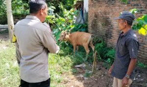 Sinergi Polri dan Warga Lembar Selatan Wujudkan Kemandirian Pangan Keluarga