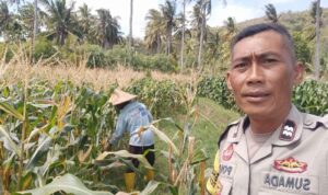 Bhabinkamtibmas Desa Batu Putih Dorong Pemanfaatan Lahan Petani di Dusun Tibu Baru