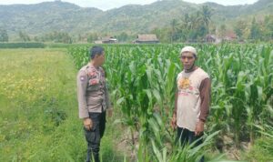 Sosialisasi Ketahanan Pangan di Dusun Pelabu: Polri Ajak Warga Manfaatkan Lahan Produktif