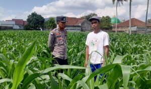 Bhabinkamtibmas Kuripan Ajak Warga Dusun Due Pelet Wujudkan Ketahanan Pangan
