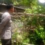 Kunjungan Humanis Bhabinkamtibmas, Ajak Warga Manfaatkan Lahan Pekarangan untuk Ketahanan Pangan