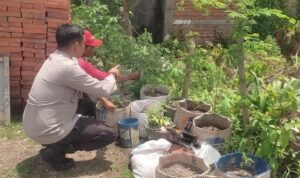 Sinergi Polsek Labuapi dan Warga Mapak Reong Dorong Pemanfaatan Pekarangan Produktif