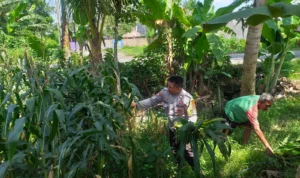 Sinergi Polri dan Petani di Lombok Barat Perkuat Kemandirian Pangan