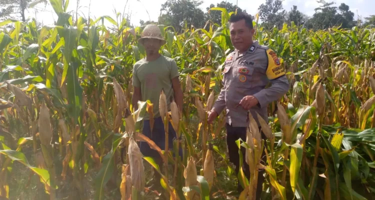 Kapolsek Kuripan: Ketahanan Pangan Harus Dimulai dari Desa