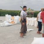Jamin Pasar Petani, Polsek Gerung Dampingi Penjualan 11 Ton Jagung ke BULOG