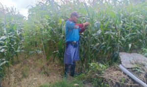 Polri Dukung Ketahanan Pangan di Desa Beleka Lombok Barat