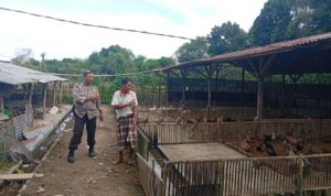 Bhabinkamtibmas Dorong Ketahanan Pangan di Dusun Merembu Tengah