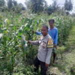 Bhabinkamtibmas Dorong Swasembada Pangan di Desa Montong Are