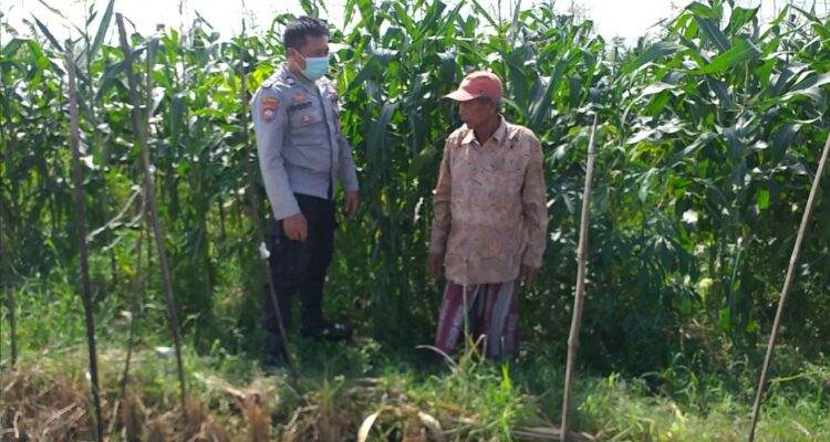 Bhabinkamtibmas Sosialisasi Pemanfaatan Lahan Kosong untuk Pangan