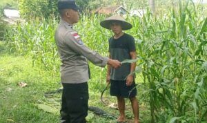 Bhabinkamtibmas Taman Baru Giat Dorong Pemanfaatan Lahan Kosong