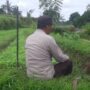Dari Silaturahmi ke Swasembada Polri dan Warga Montong Are Bersinergi