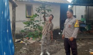 Kuripan Selatan Gerakkan Pekarangan Mandiri untuk Ketahanan Pangan