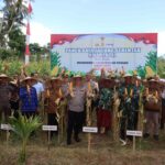 Dukungan Penuh Polri dan Pemda dalam Panen Raya Jagung NTB