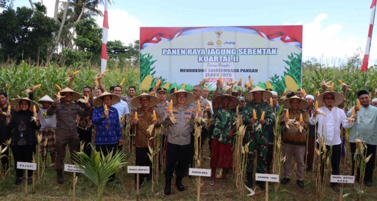 Dukungan Penuh Polri dan Pemda dalam Panen Raya Jagung NTB