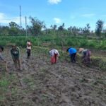 Peran Polri Dalam Swasembada Pangan di Sekotong, NTB