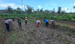 Peran Polri Dalam Swasembada Pangan di Sekotong, NTB
