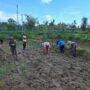 Peran Polri Dalam Swasembada Pangan di Sekotong, NTB