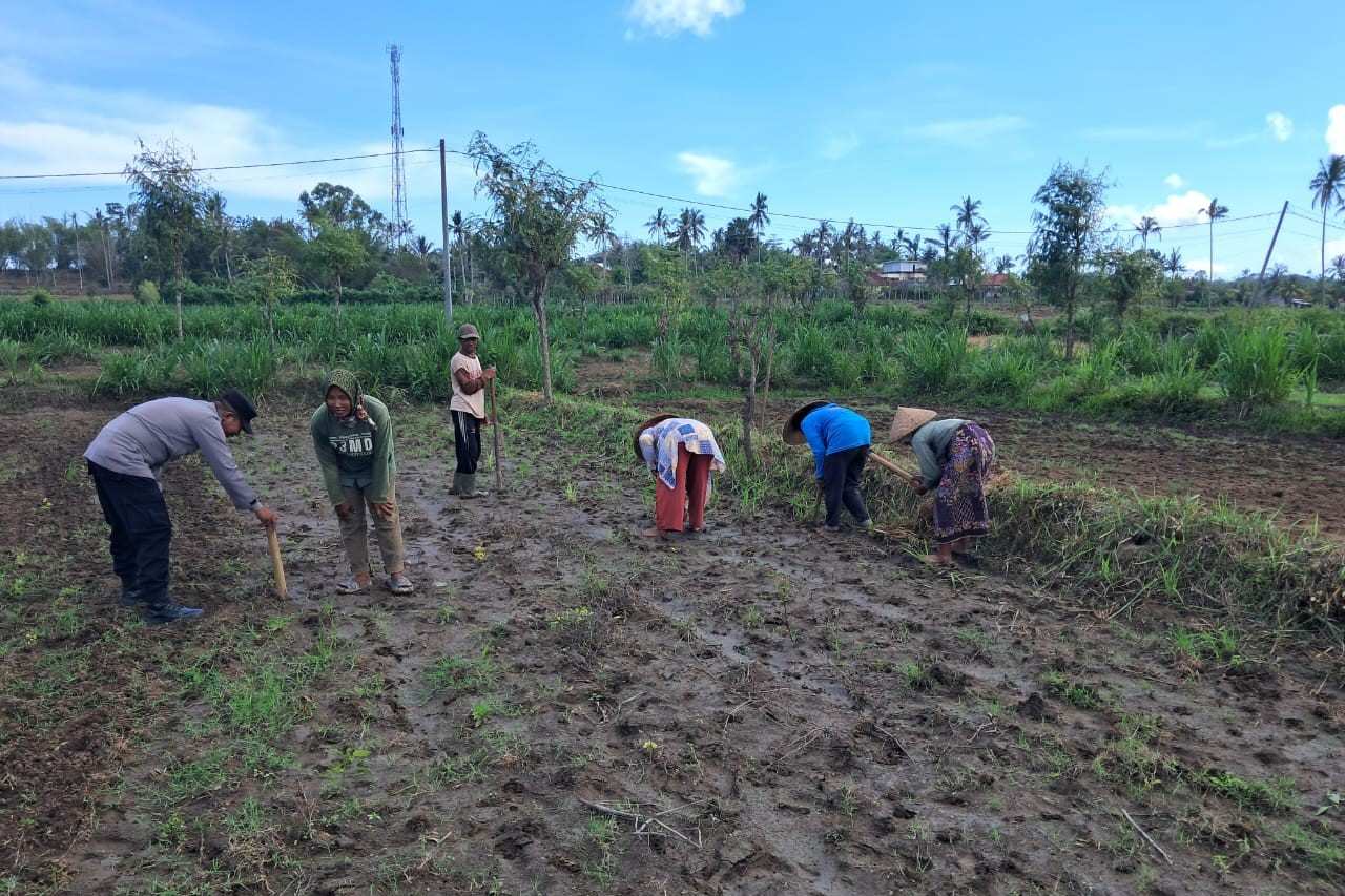 Peran Polri Dalam Swasembada Pangan di Sekotong, NTB