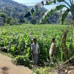 Polisi Sambangi Petani Jagung di Sekotong Timur, Dukung Ketahanan Pangan