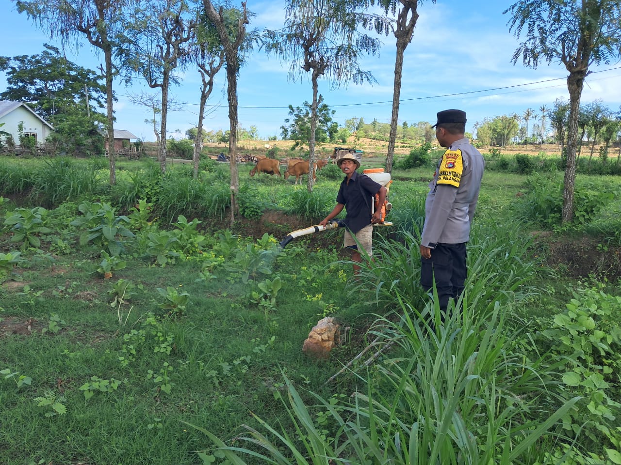 Polri Dorong Pertanian Produktif di Desa Pelangan, Sekotong