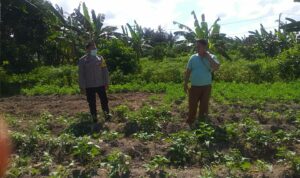 Polri Dukung Ketahanan Pangan Nasional Bhabinkamtibmas Jagaraga Ajak Petani Manfaatkan Lahan Produktif