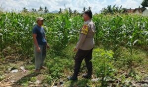 Polres Lombok Barat Dorong Ketahanan Pangan Desa Jembatan Gantung