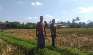 Bhabinkamtibmas Desa Jagaraga Dorong Kemandirian Pangan dari Pekarangan Warga
