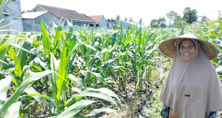 Bhabinkamtibmas Labuapi Ajak Warga Optimalkan Lahan Pekarangan untuk Ketahanan Pangan