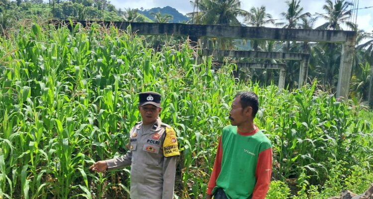 Bhabinkamtibmas Sekotong Dorong Pemanfaatan Pekarangan untuk Ketahanan Pangan