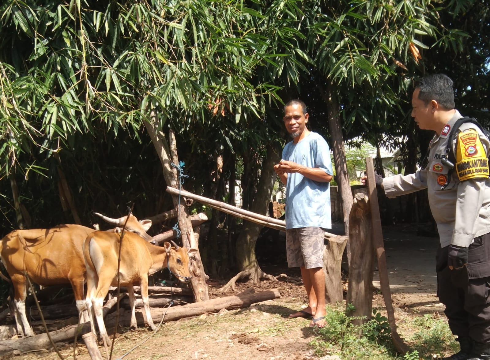 Ketahanan Pangan Berbasis Komunitas di Dusun Melase