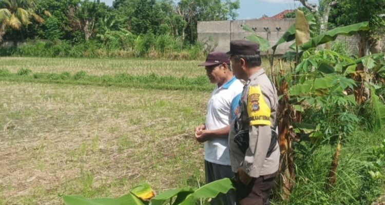 Ketahanan Pangan Dimulai dari Pekarangan, Inisiatif Bhabinkamtibmas di Dusun Dawung