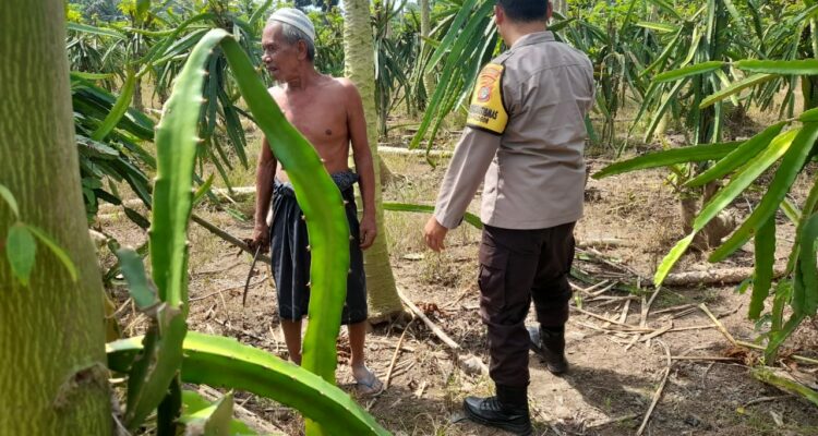 Ketahanan Pangan Diperkuat, Polres Lombok Barat Turun ke Ladang