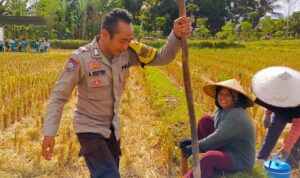 Kunjungan Bhabinkamtibmas Kuripan Utara, Ajak Petani Dukung Ketahanan Pangan Nasional