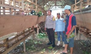 Kuripan Timur Dorong Kemandirian Pangan Lewat Pendampingan Warga