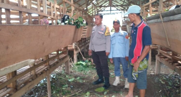 Kuripan Timur Dorong Kemandirian Pangan Lewat Pendampingan Warga