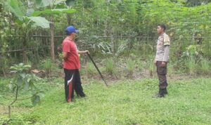 Batulayar Tunjukkan Peran Aktif Warga dalam Ketahanan Pangan Lokal