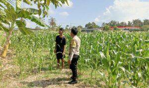 Polisi Desa Cendi Manik Dorong Ketahanan Pangan Lewat Pendampingan Petani Sekotong
