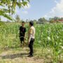 Polisi Desa Cendi Manik Dorong Ketahanan Pangan Lewat Pendampingan Petani Sekotong
