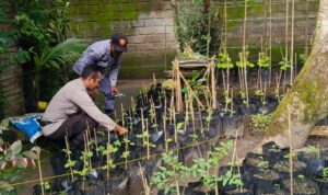Polri Dorong Ketahanan Pangan dari Pekarangan Warga Kuripan Utara