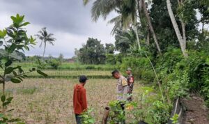 Polri Gencarkan Ketahanan Pangan di Lombok Barat, Bhabinkamtibmas Ajak Warga Sukseskan Swasembada