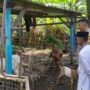 Polsek Batulayar Dorong Ketahanan Pangan Warga Senggigi melalui Edukasi Pertanian