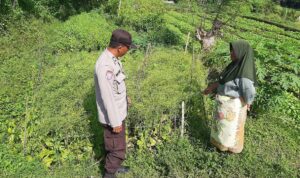 Polsek Kediri Dorong Ketahanan Pangan Warga Montong Are
