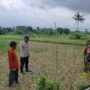 Sinergi Polisi dan Petani di Dusun Nyiur Gasing Dukung Ketahanan Pangan